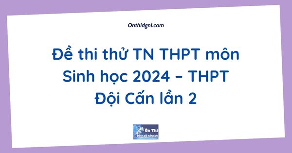 Đề thi thử TN THPT môn Sinh học 2024 – THPT Đội Cấn lần 2