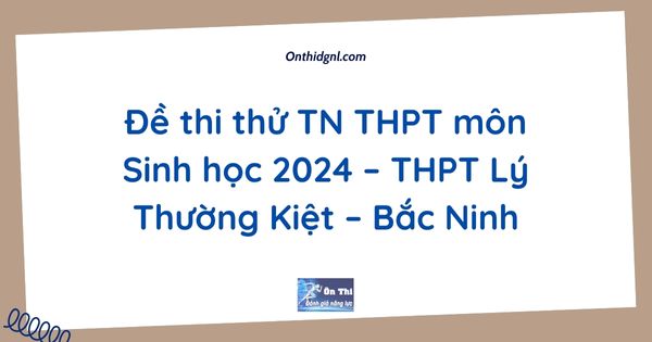 Đề thi thử TN THPT môn Tiếng Anh 2024 – Chuyên Lê Hồng Phong – Nam Định