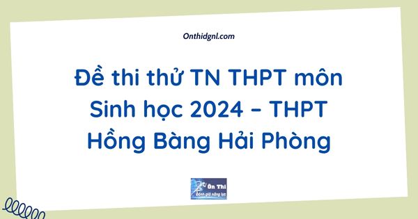 Đề thi thử TN THPT môn Sinh học 2024 – THPT Hồng Bàng Hải Phòng