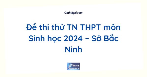 Đề thi thử TN THPT môn Sinh học 2024 – Sở Bắc Ninh