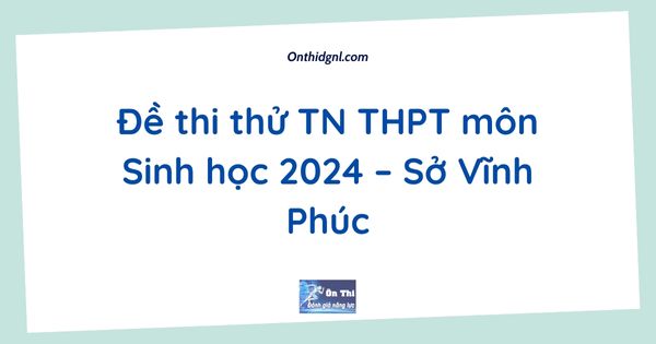 Đề thi thử TN THPT môn Sinh học 2024 – Sở Vĩnh Phúc